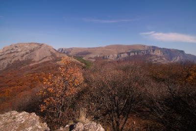 Прикрепленное изображение: DSC00812.JPG